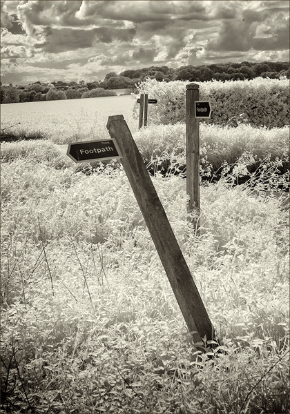 Which Way by Alan Turner.jpg